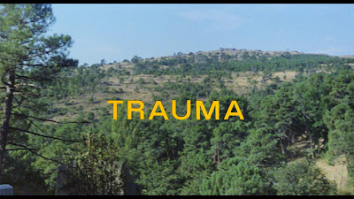 Trauma Movie Image 1