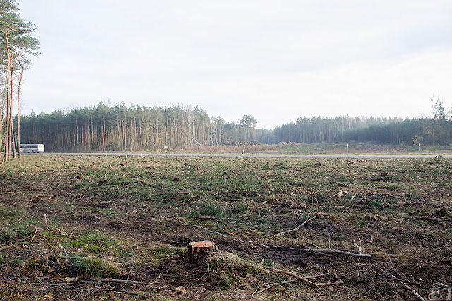 Przebudowa drogi wojewódzkiej 223 Białe Błota Bydgoszcz