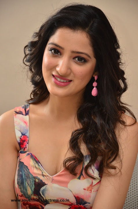 Richa Panai at Rakshaka Bhatudu Movie Pre Release