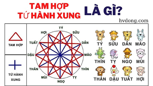 Nguyên tắc tính Tam Hợp (Tam Hạp) – Tứ Hành Xung [cập nhập 2023]