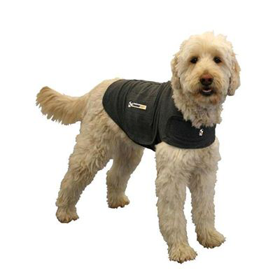 springfield sidekick dog training springfield sidekick dog training