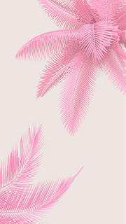 Warna Pink Wallpaper Hp Iphone Lucu