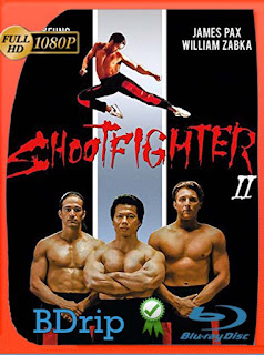 Shootfighter II (1996) BDRIP 1080p Latino [GoogleDrive] SXGO