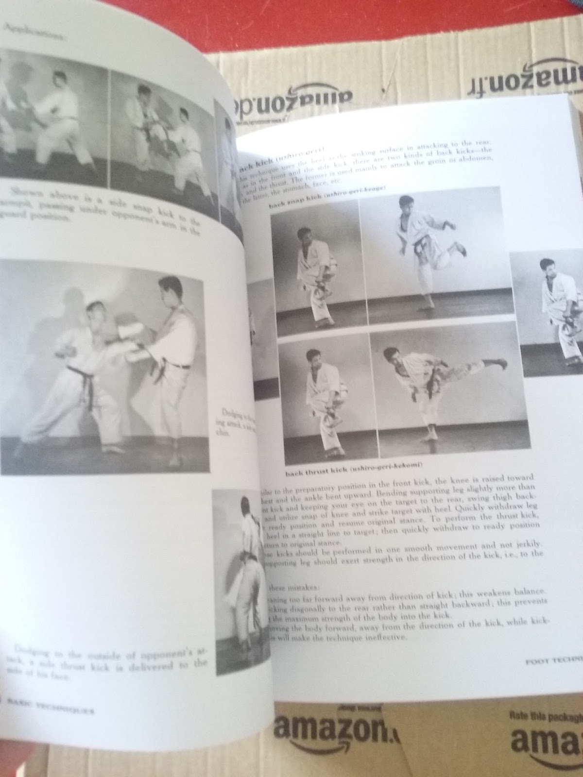 Libro Karate "The art of empty hand fighting" Virtual Ryu Kyu Karate