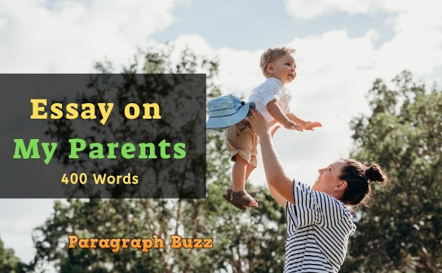 Why i love my parents essay image