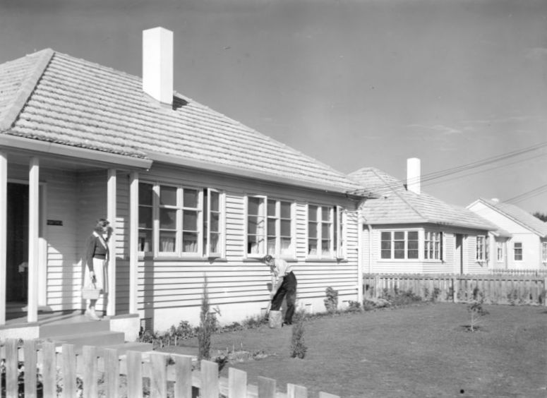 The Nest NEW ZEALAND HOUSING