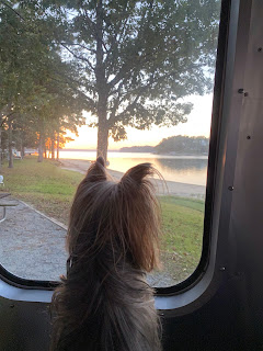 Suzy looking at the lake Suzy looking at the lake