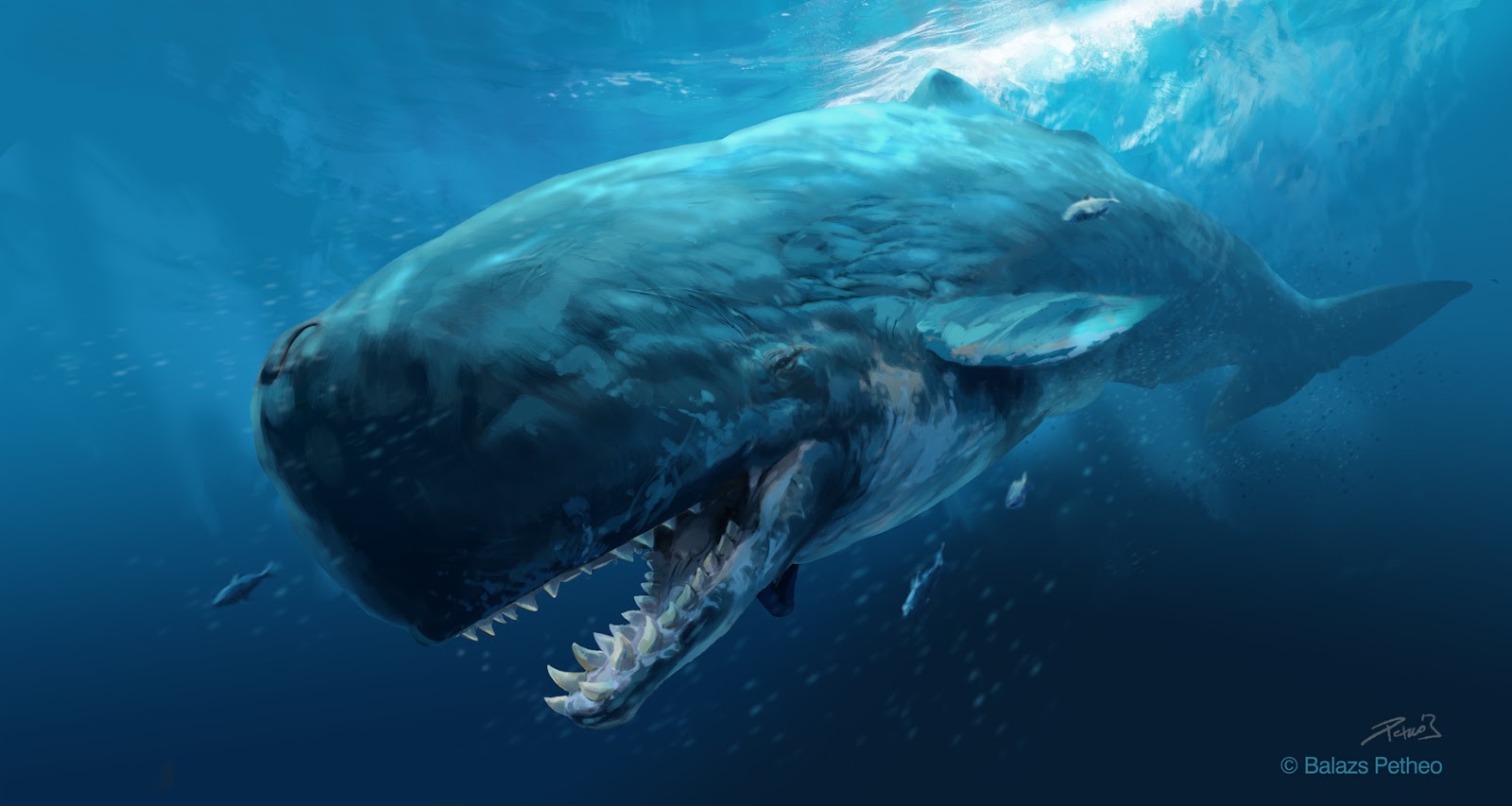Top 10 Terrifying Sea Creatures of Prehistoric Age Top 10 Interesting