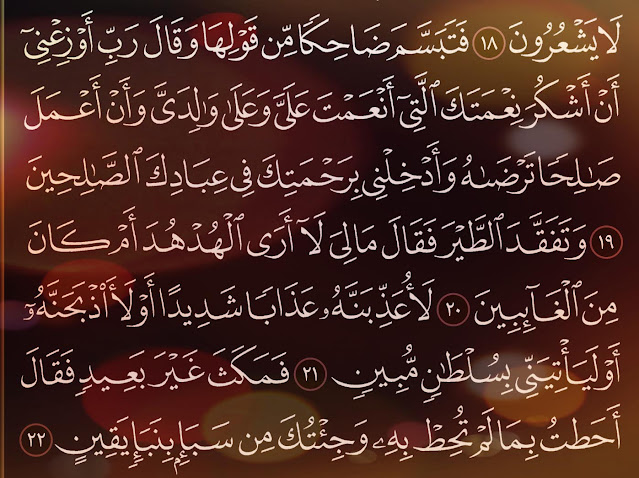شرح وتفسير سورة النمل surah An-Naml ( من الآية 19 إلى ألاية 35 )