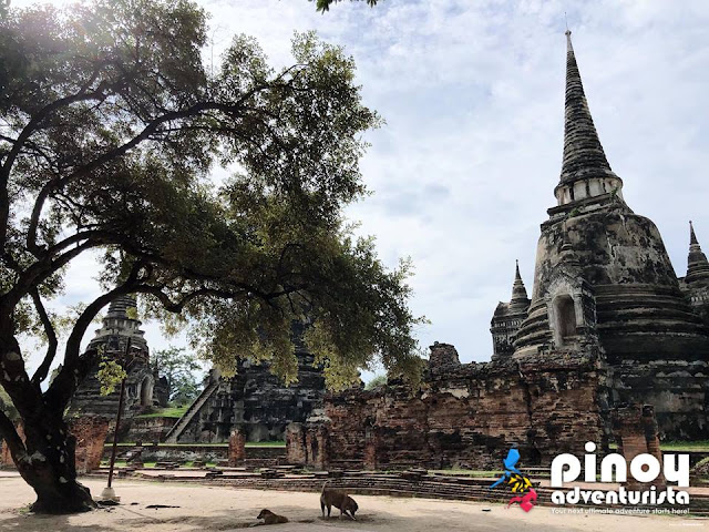 Ayutthaya Thailand Tourist Spots