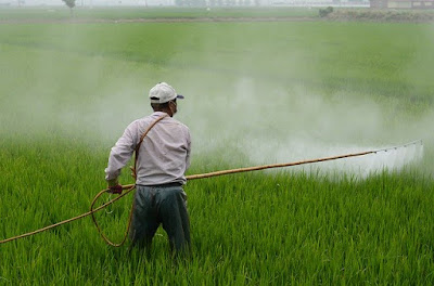 Pesticides used in fields