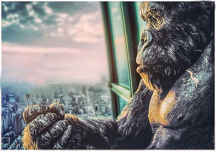 Cb Edit Backgrounds New 2019 Cb Edit Hd Backgrounds Download Zip File