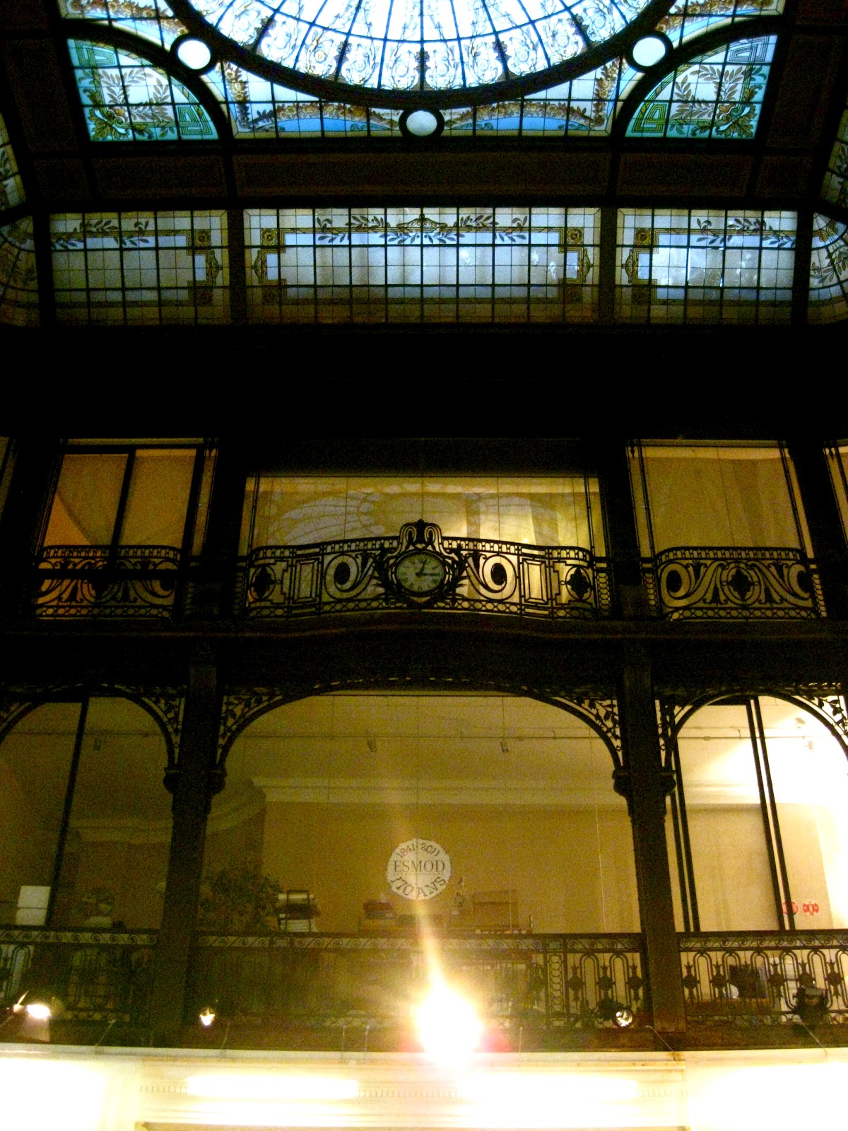 Arthur est un perroquet 35 Tage Paris Arthur fliegt nach Hause