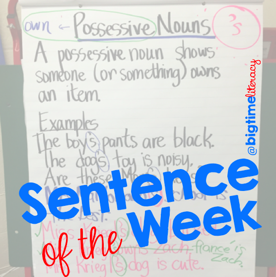 bigtime-literacy-sentence-of-the-week