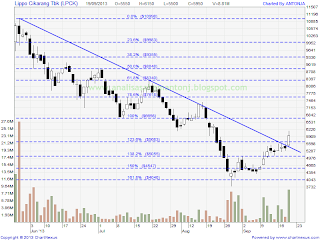 saham lpck 19913