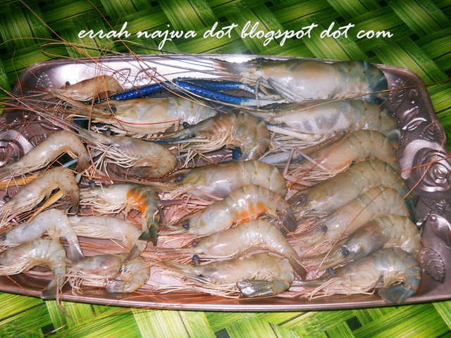 udang sungai ciri