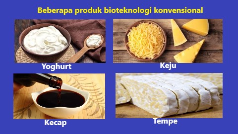 yoghurt, keju, kecap dan tempe adalah produk bioteknologi konvensioanl