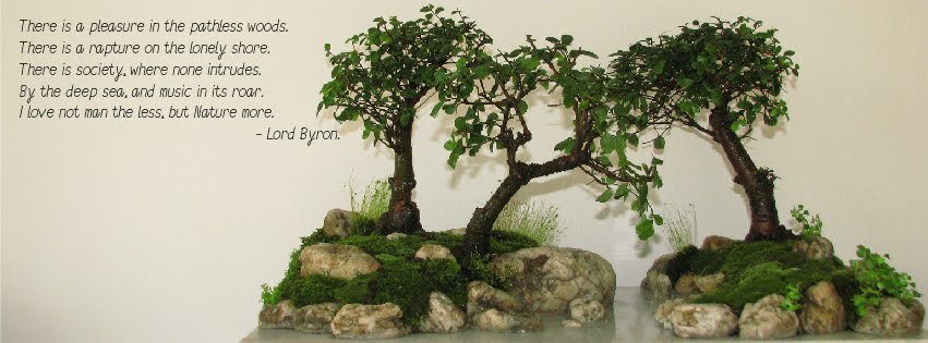 penjing