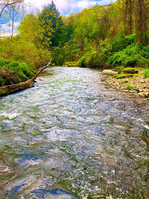 Trout Fishing Pittsburgh North Hills