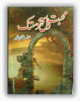 Mohabbat dil per dastak by Iffat Sehar Tahir Part 1 Online reading.