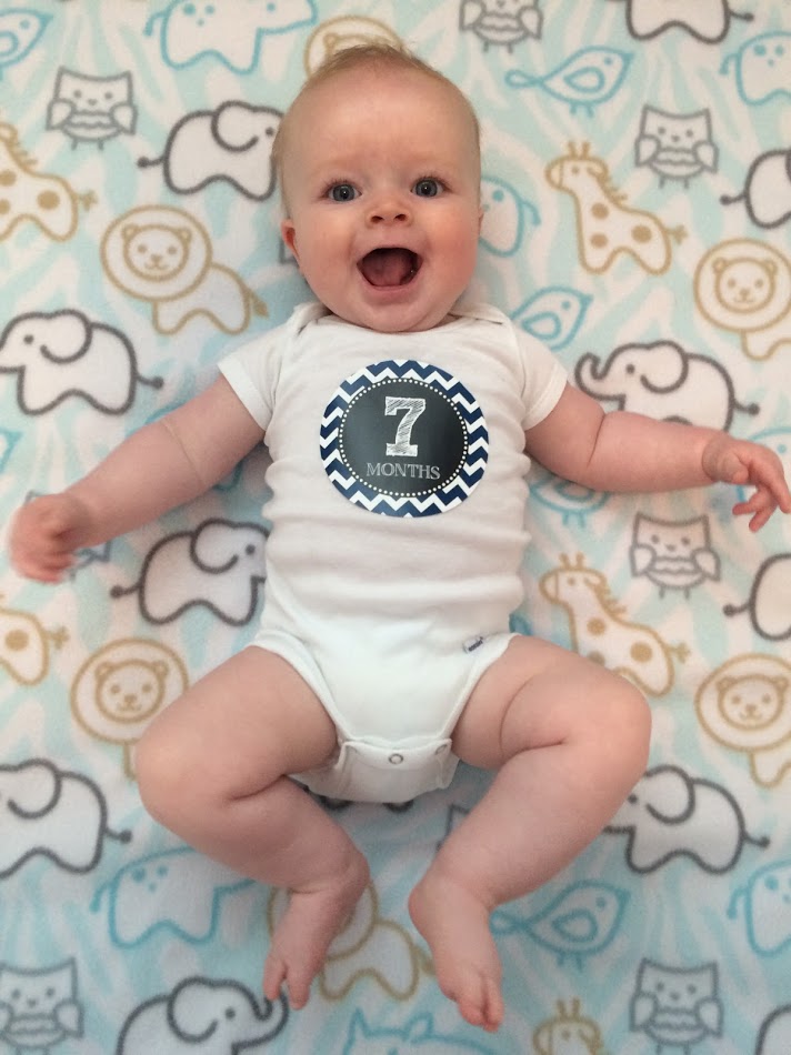 seven month old