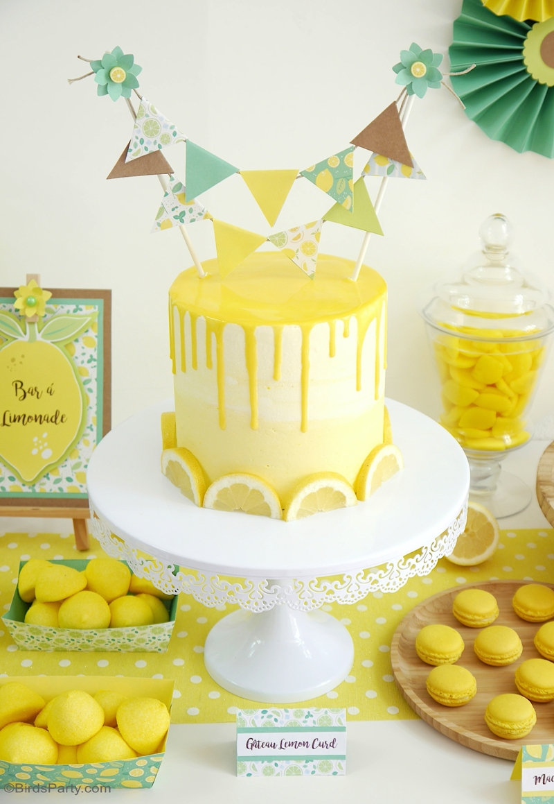 Lemon Themed Party Ideas With Diy Decorations Party Ideas