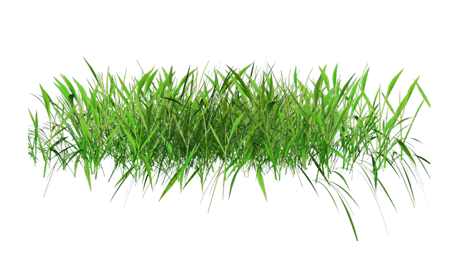 3D Spring Grass, ilustración de hierba verde, png by: pngkh.com - PNGKH.COM