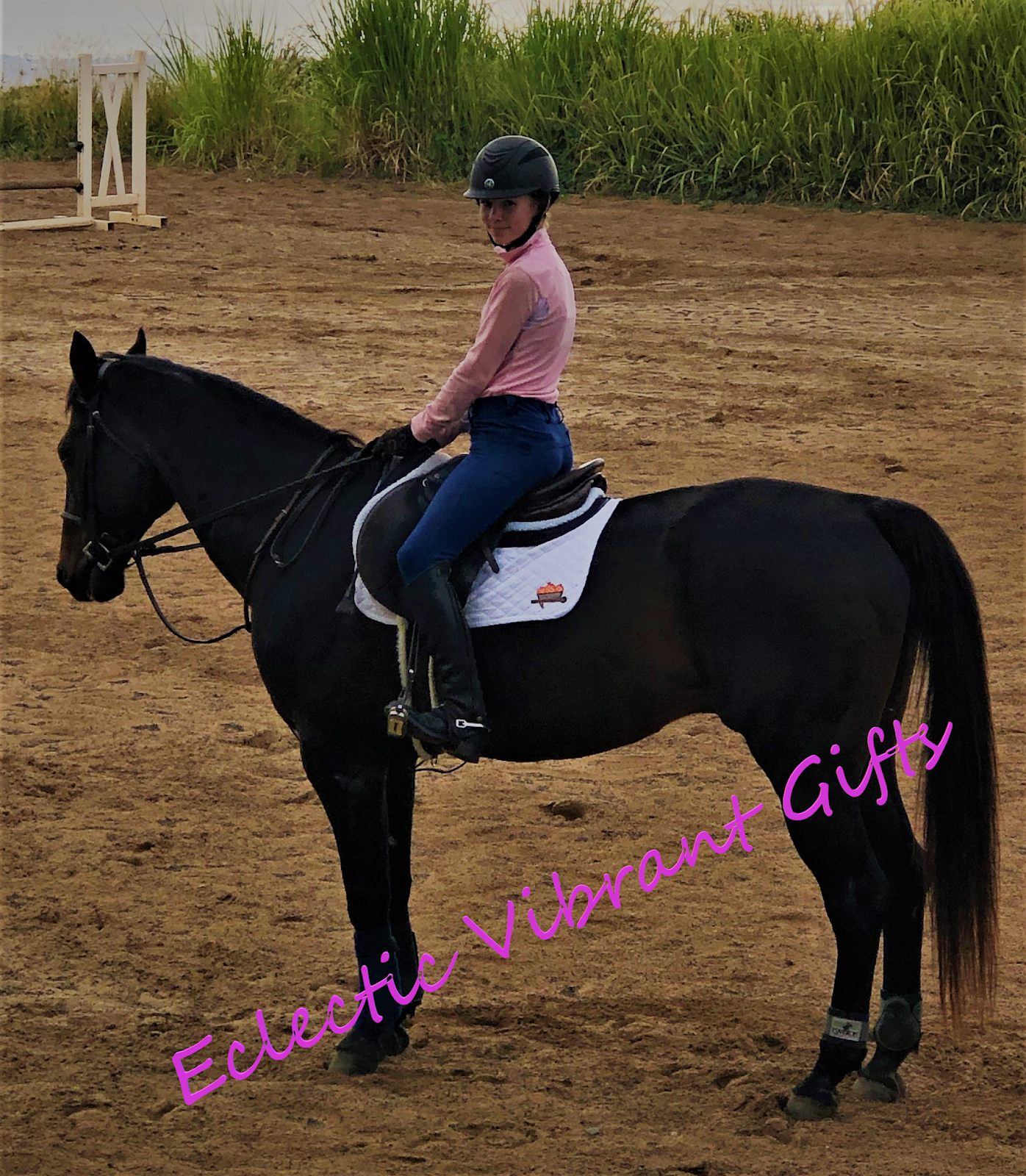 The Story Behind Baby Pads for Horses