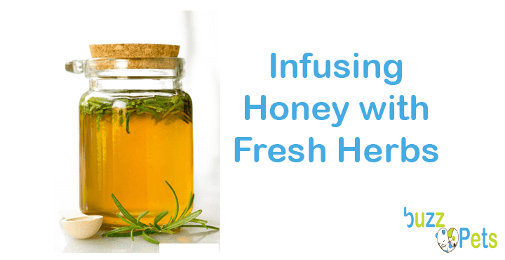 THow to Making Infused Honey Infusing Honey with Fresh Herbs