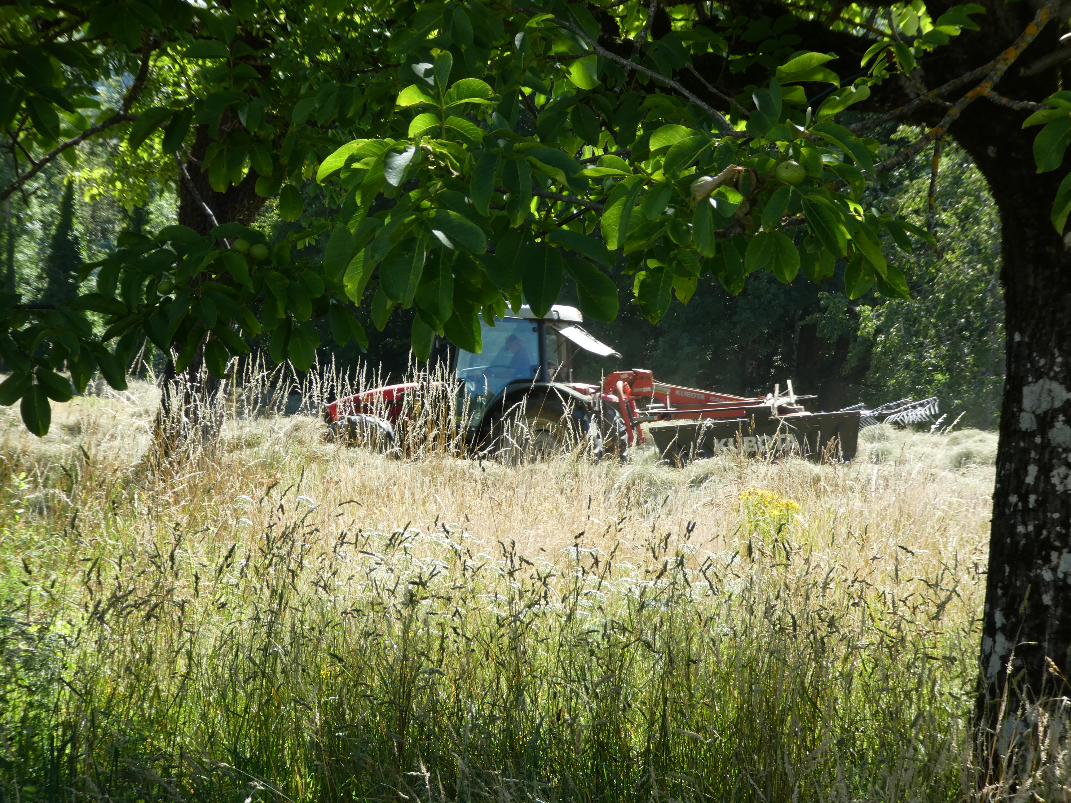 Why am I always moaning about the heat? It's horrible up here when it