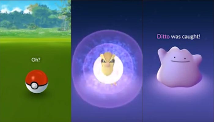 Pokémon GO: como pegar Ditto, lista de disfarces de 2021 e forma