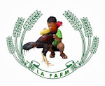 LA Farm d'Champion Rooster