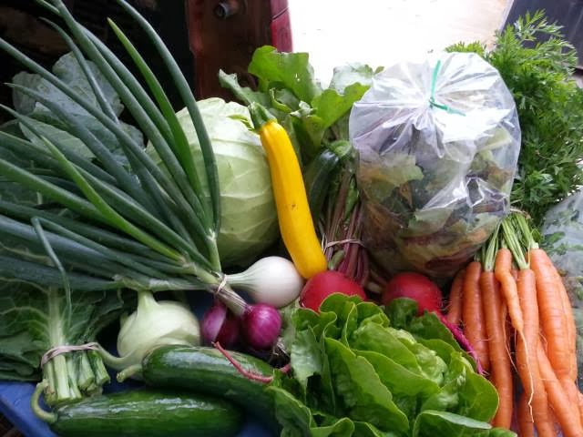 Jen & Derek's Organic Farm vegetables