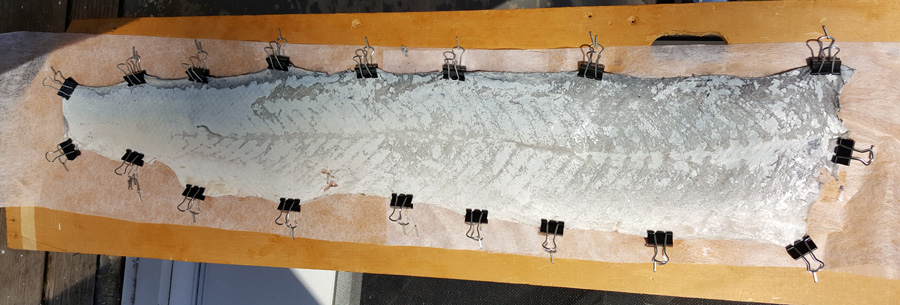 The Pressbengel Project: Exploring German bookbinding traditions and ... The Pressbengel Project: Exploring German bookbinding traditions and ...