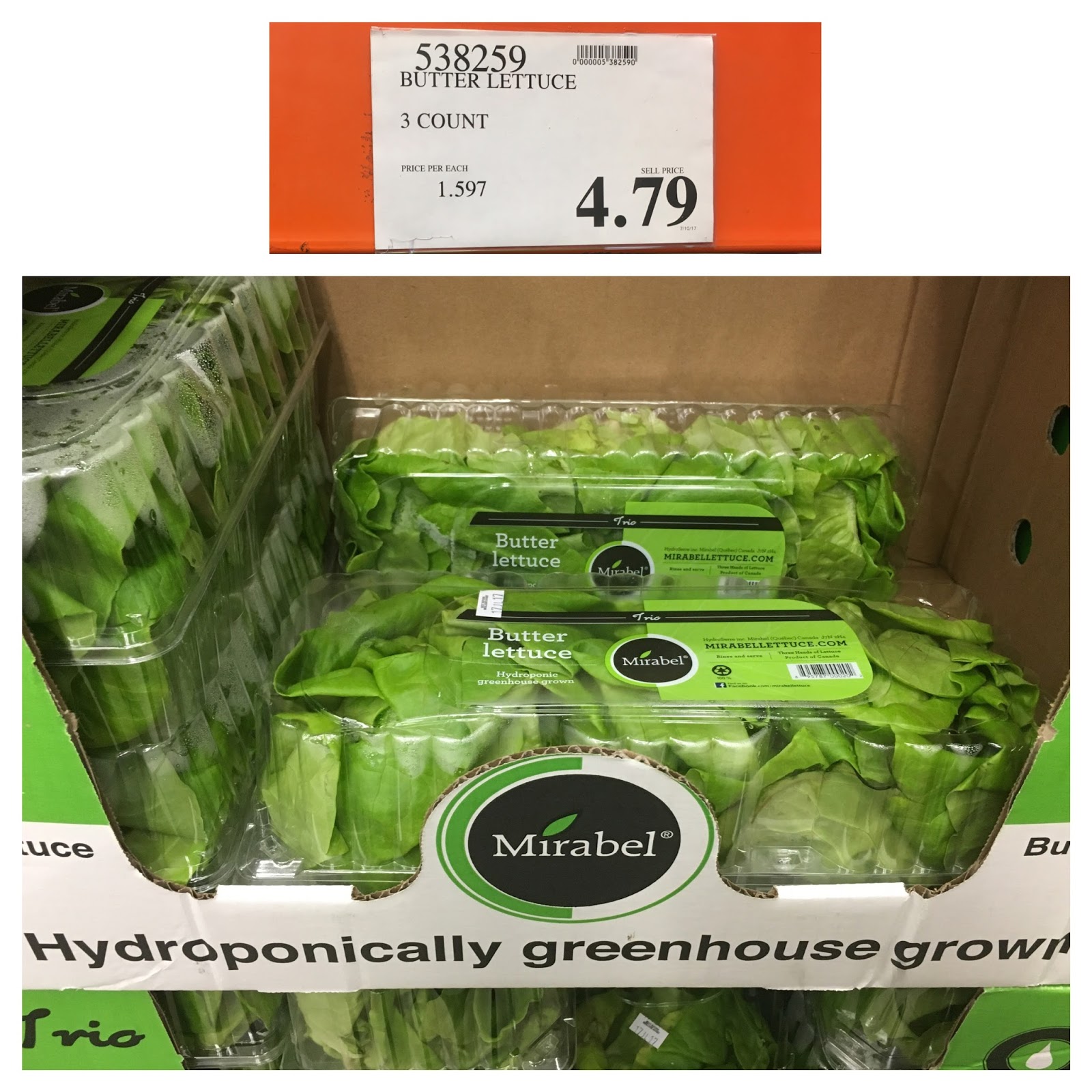 the Costco Connoisseur