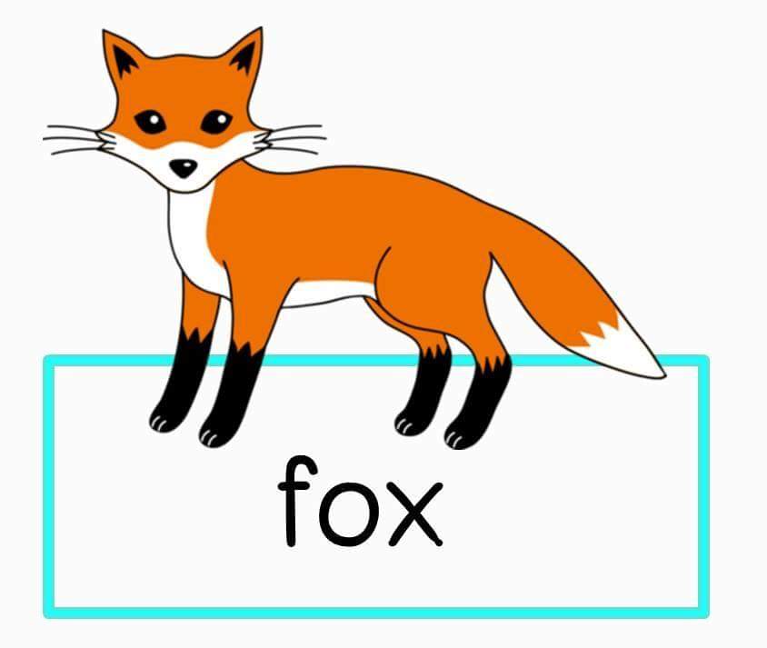 Fox word. Fox карточка. Карточки лисы. Fox Flashcard. Лиса по английскому.