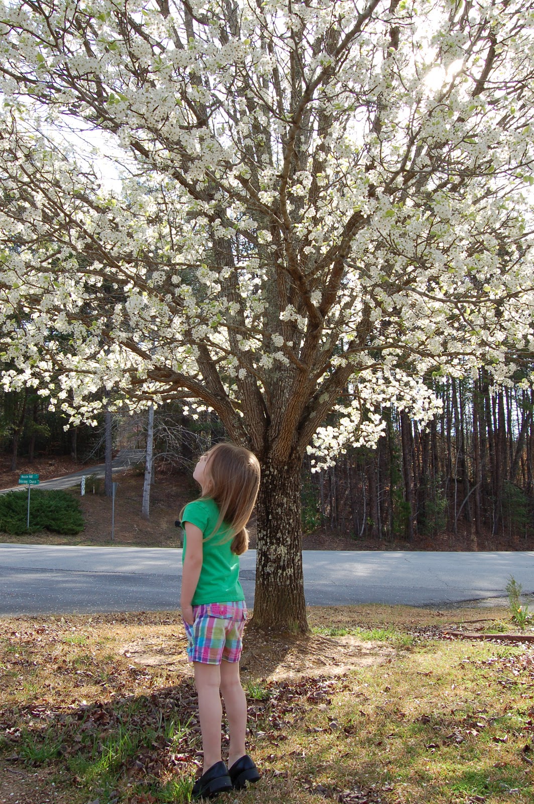 Duck Notes Smell The Flowers (DON'T)
