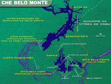 Anistia Internacional pede suspensão de Belo Monte