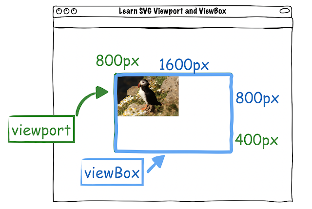 SVG viewport and viewBox