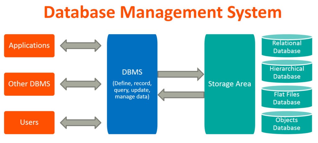 Database Management System 2