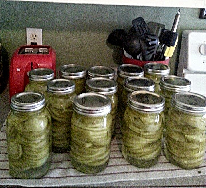 Joy's Jots, Shots & Whatnots Canning Green Tomatoes for Fried Green