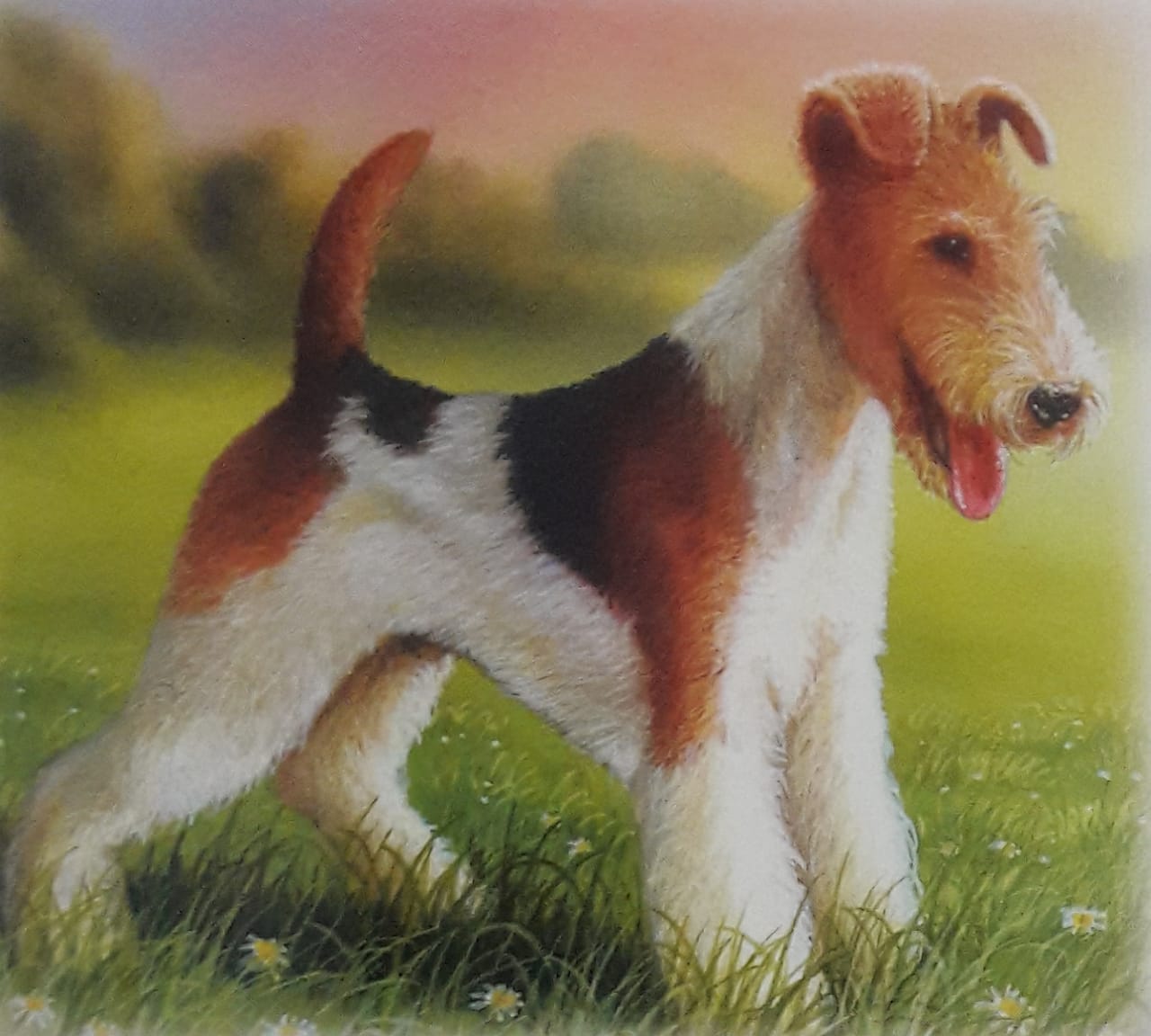 Seri Pengetahuan Anjing Yuk Kenali 27 Jenis Dan Ras Anjing