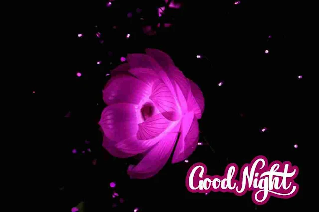 Good Night Image , photo , greetings