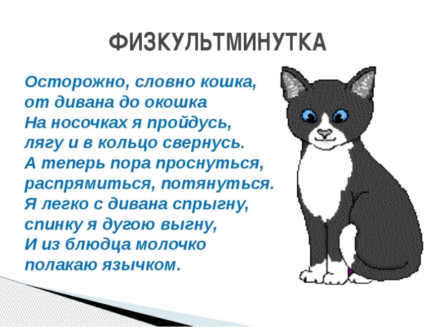 Кошка собака упражнение