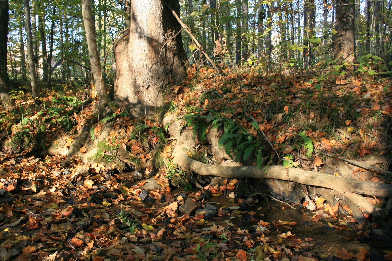 Moment Graces Hallowed Place