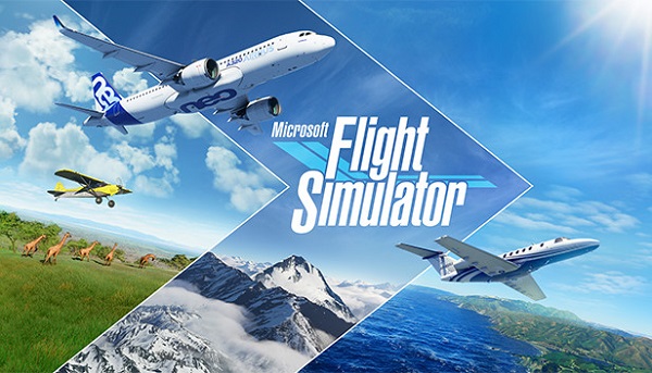 Microsoft Flight Simulator Co-op Multiplayer