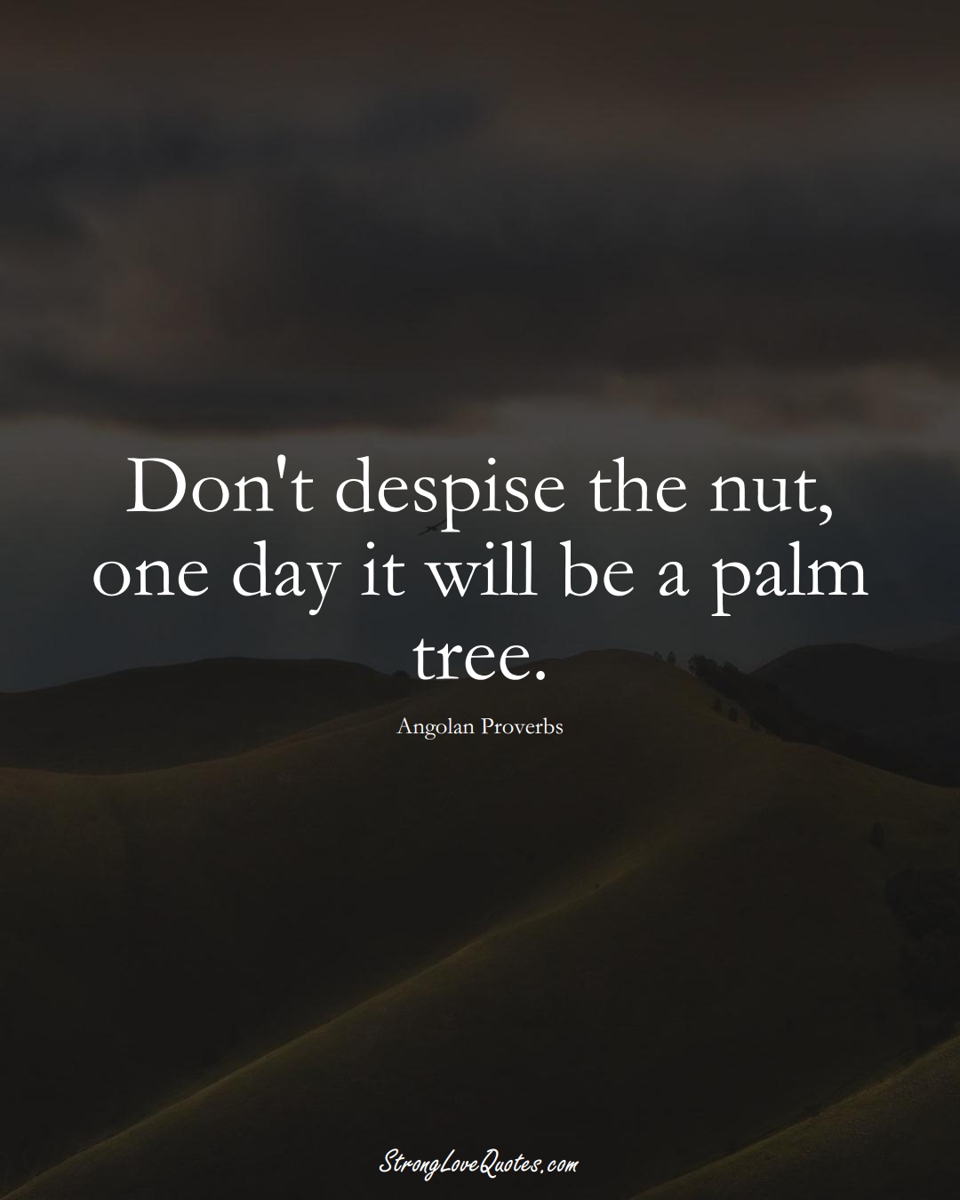 Don't despise the nut, one day it will be a palm tree. (Angolan Sayings);  #AfricanSayings
