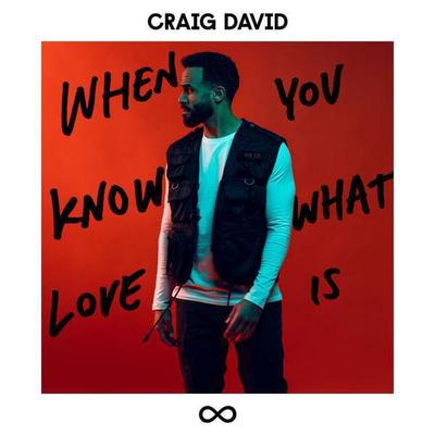 Craig David When You Know What Love Is Lyrics Moozik Portal