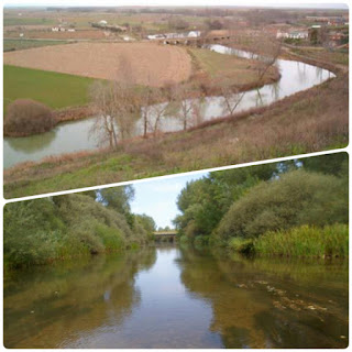 Río Cea, en León. Castilla y León.