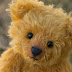 Kenapa nama dia Teddy Bear?